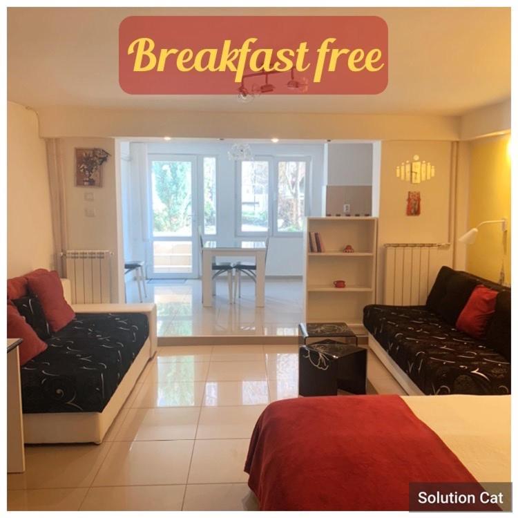 Apartment A&D Pančevo 외부 사진