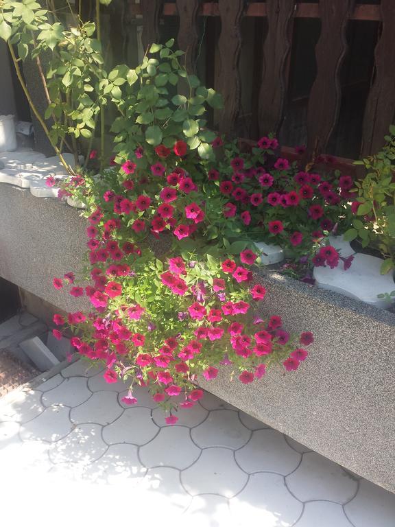 Apartment A&D Pančevo 외부 사진